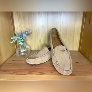 COACH Amber Suede Leather Loafers Size